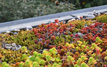 the cost of Millend green roof installation