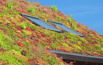 Millend living roof systems